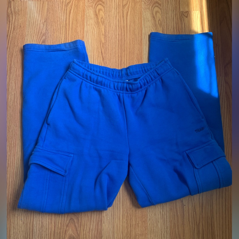 Aritzia cargo sweatpants